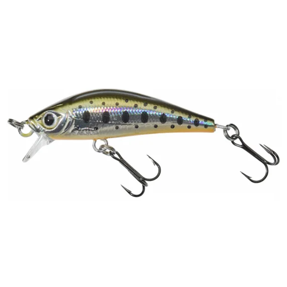 fishline202606082046073336217