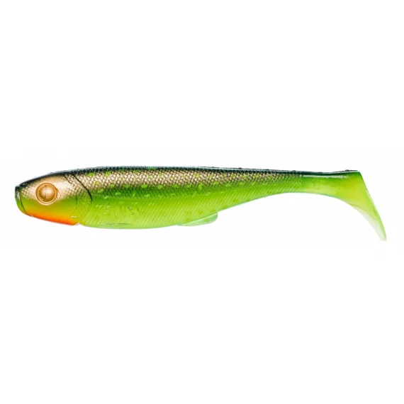 fishline202606082049553336671