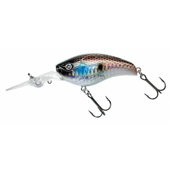fishline202606082050103336704