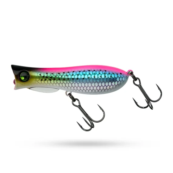 fishline202606082056443337560