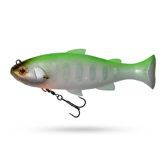 fishline202606082100153338001