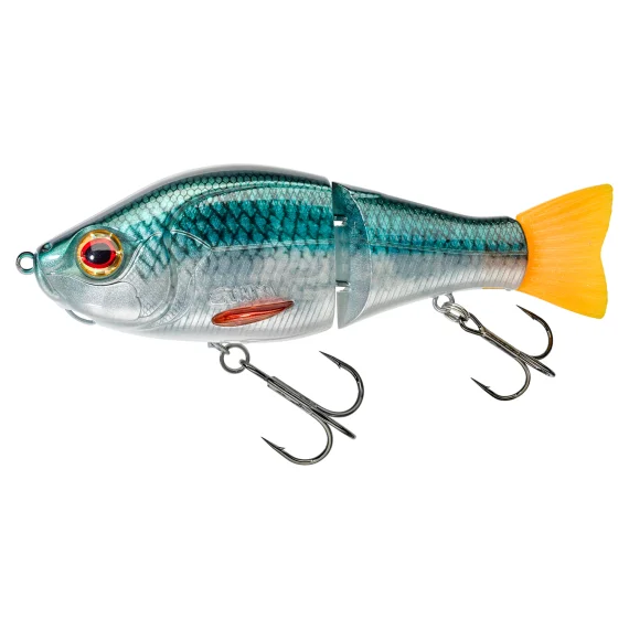 fishline202606082108093338897