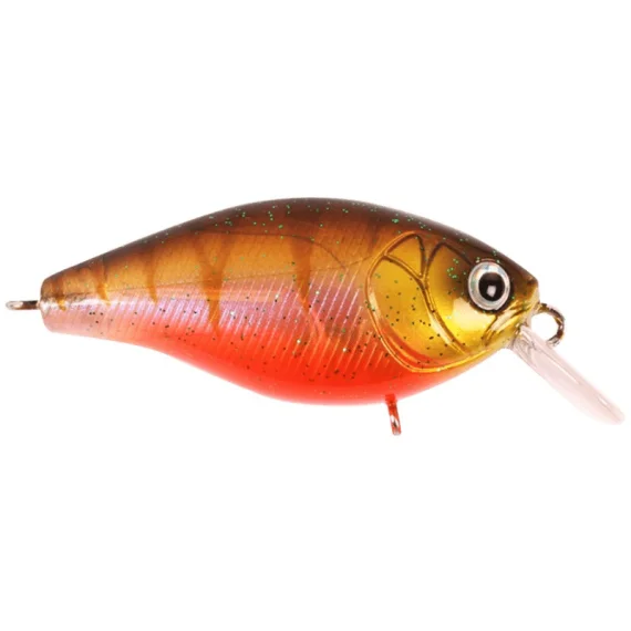 fishline202606082110543339232