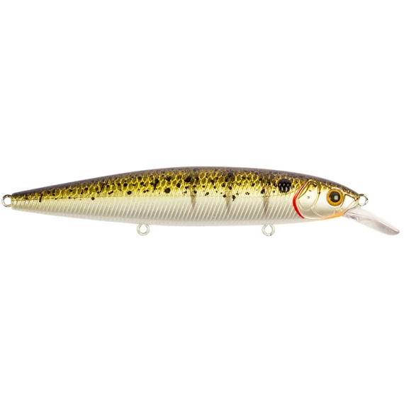 fishline202606082111293339299