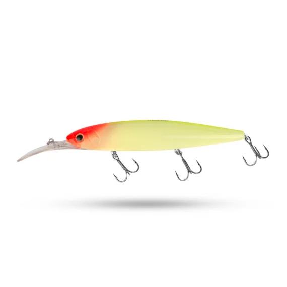 fishline202606082111373339316