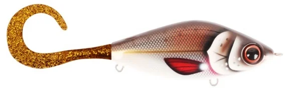 fishline202606082113033339523