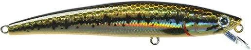 fishline202606082113583339647