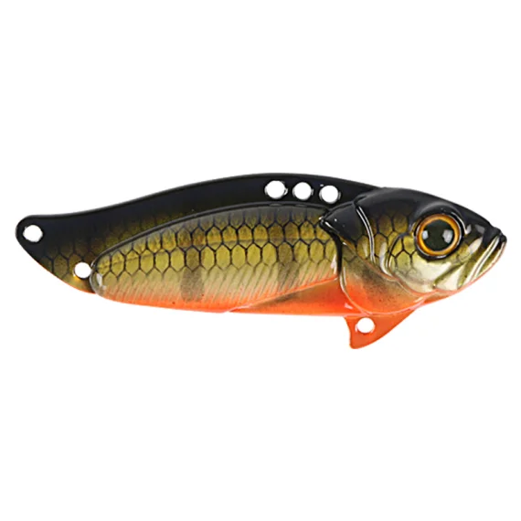 fishline202606082114293339713