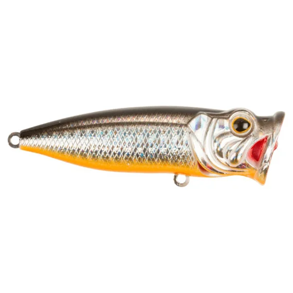 fishline202606082114363339731