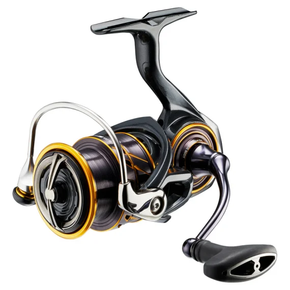fishline202606082136373342338