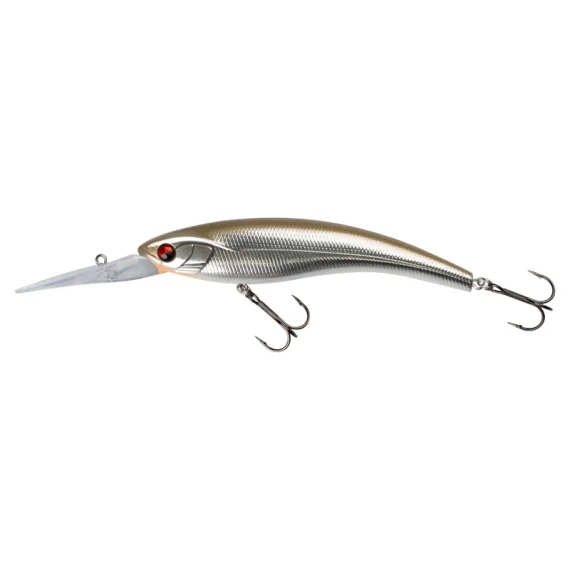 fishline202606082141243342881
