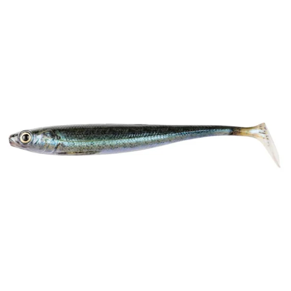fishline202606082147113343538