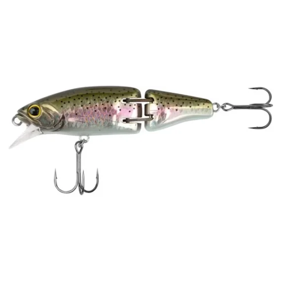 fishline202606082336093354478