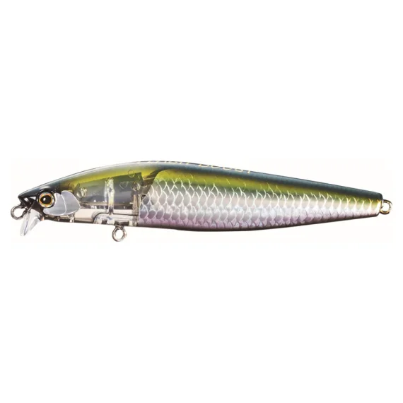 fishline202606082336163354485