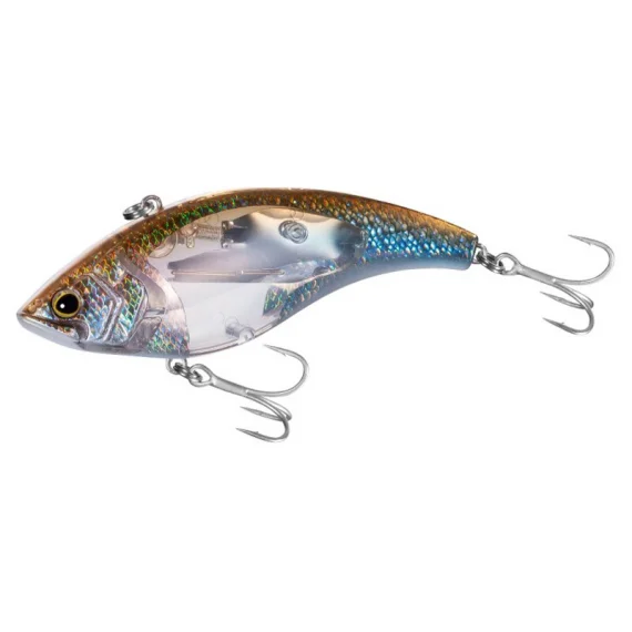 fishline202606082337383354569