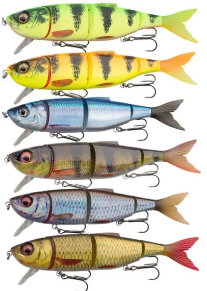 fishline202606090001213356075