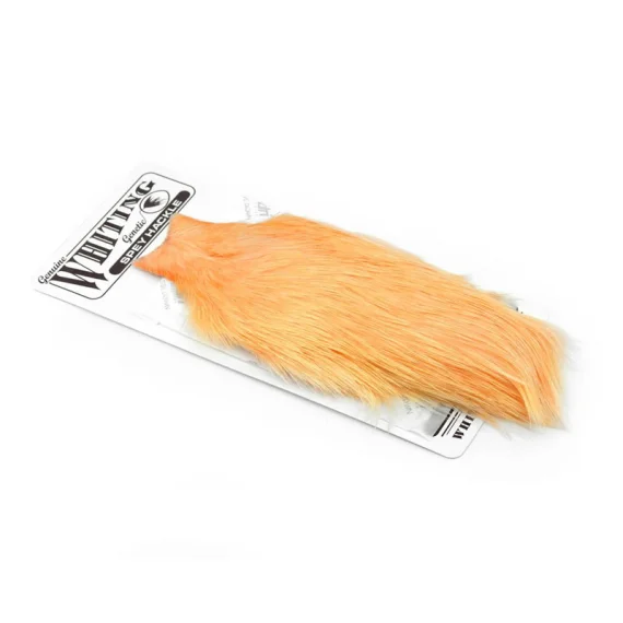 fishline202606090005463356327