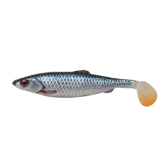fishline202606090006533356405
