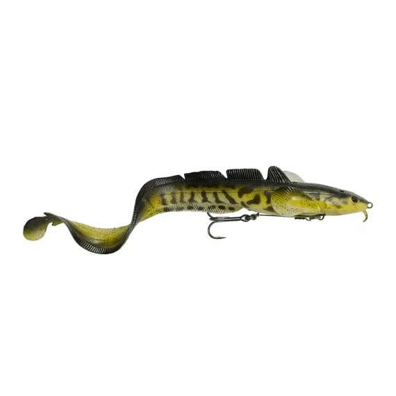 fishline202606090007593356475