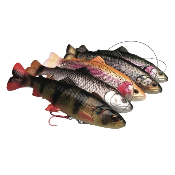 fishline202606090015353356946