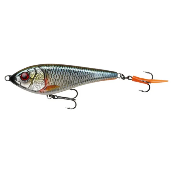 fishline202606090016153356989