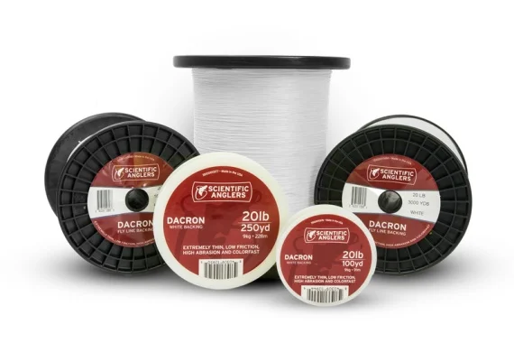 fishline202606090032383357992