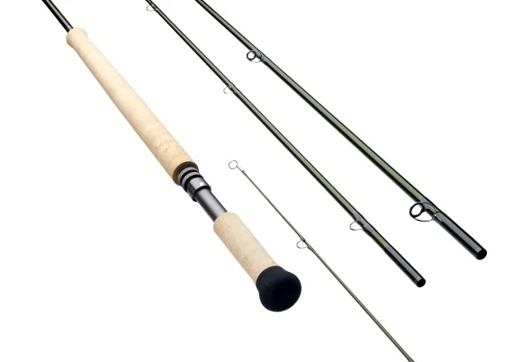 fishline202606090034293358116