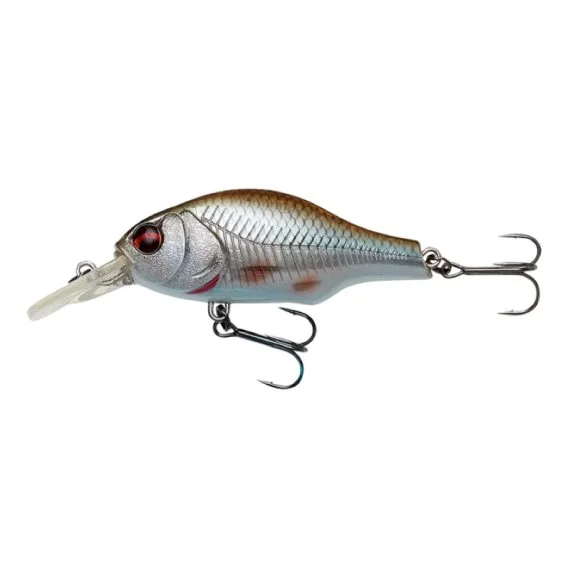 fishline202606090035193358169