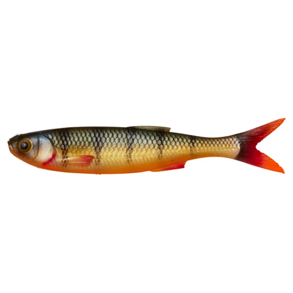fishline202606090038323358382