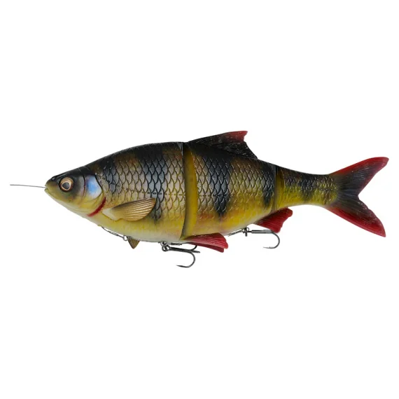 fishline202606090038423358393