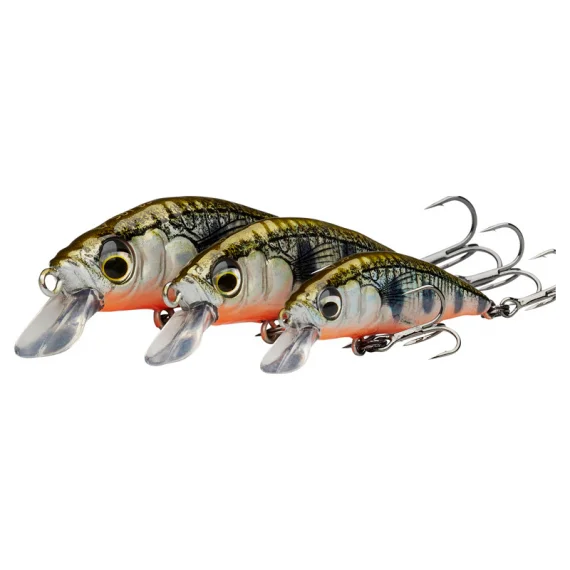 fishline202606090040203358503
