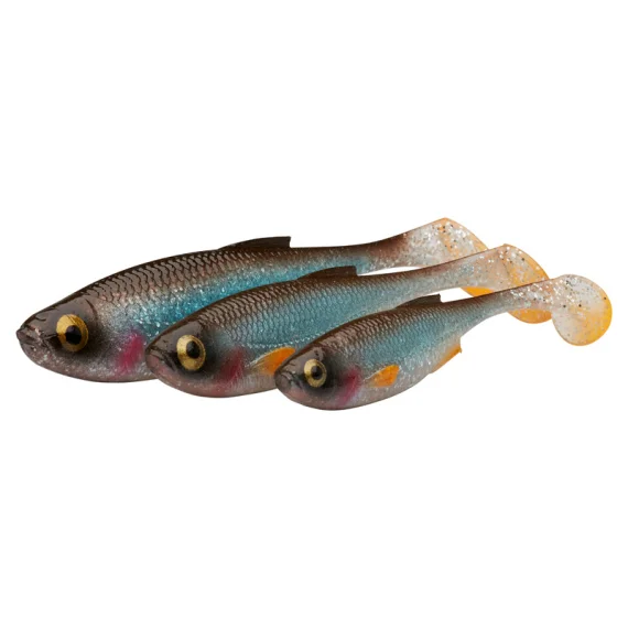 fishline202606090040503358534