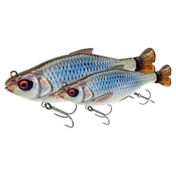 fishline202606090048013358973