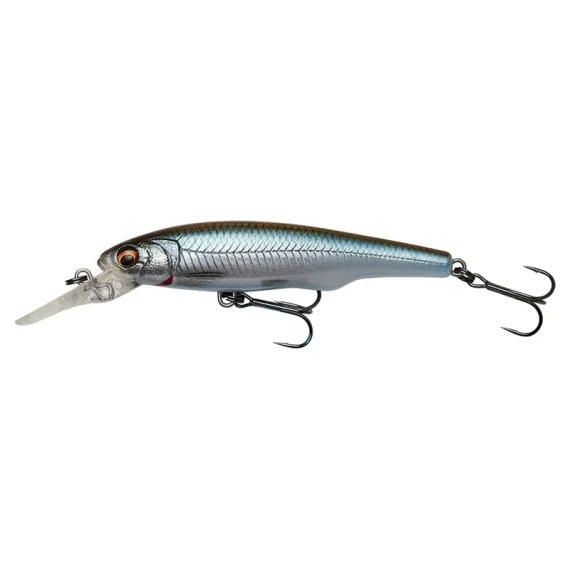 fishline202606090048383359007