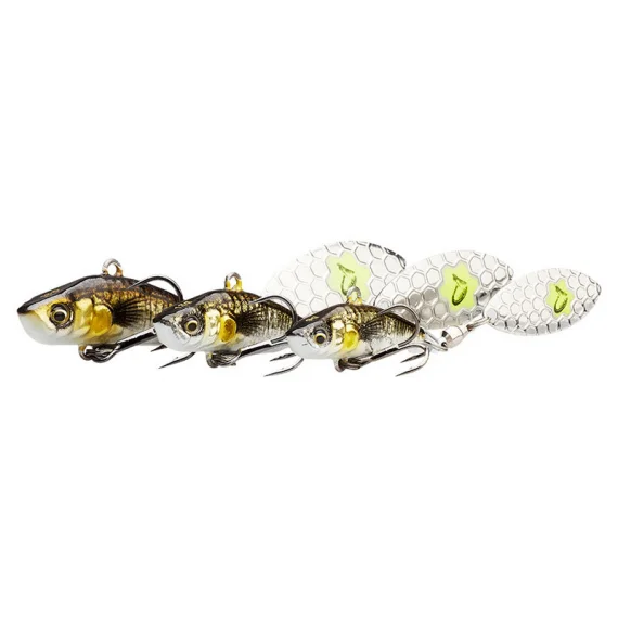 fishline202606090100413359457