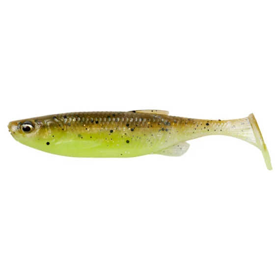 fishline202606090100573359465