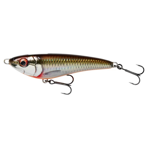 fishline202606090101373359483