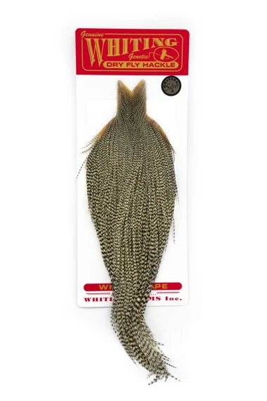 fishline202606090138253360031