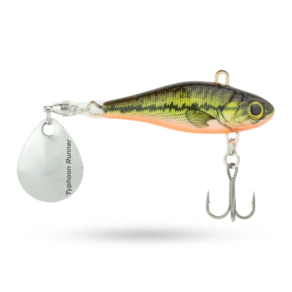 fishline202606090142513360083