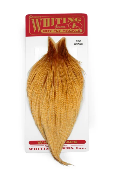fishline202606090146133360128