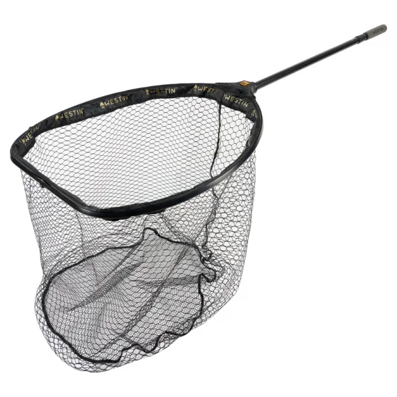 fishline202606090200033360307