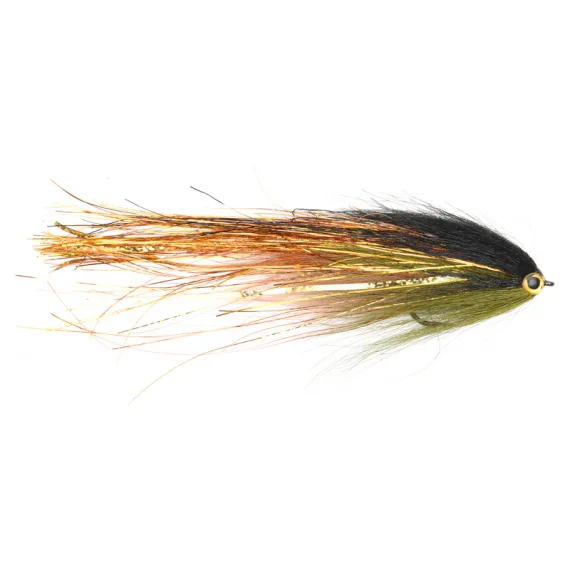 fishline202606090206323360391