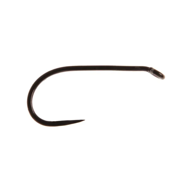 fishline202606090224243360601