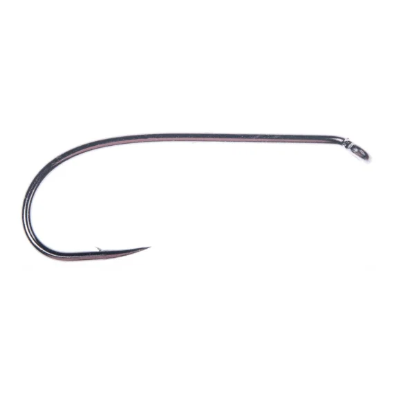 fishline202606090227363360645