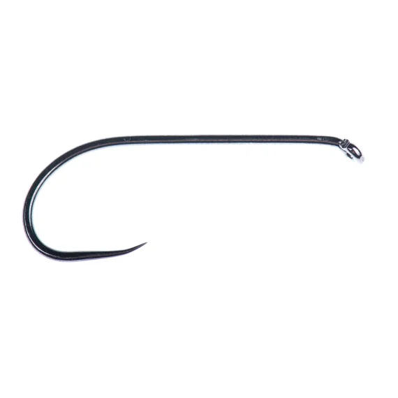 fishline202606090235203360747