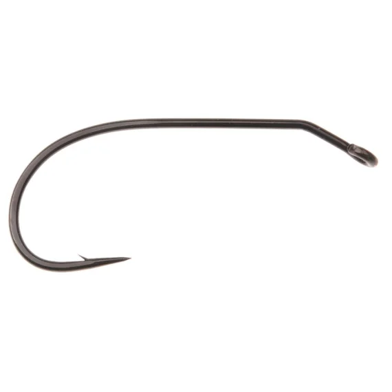 fishline202606090239003360797