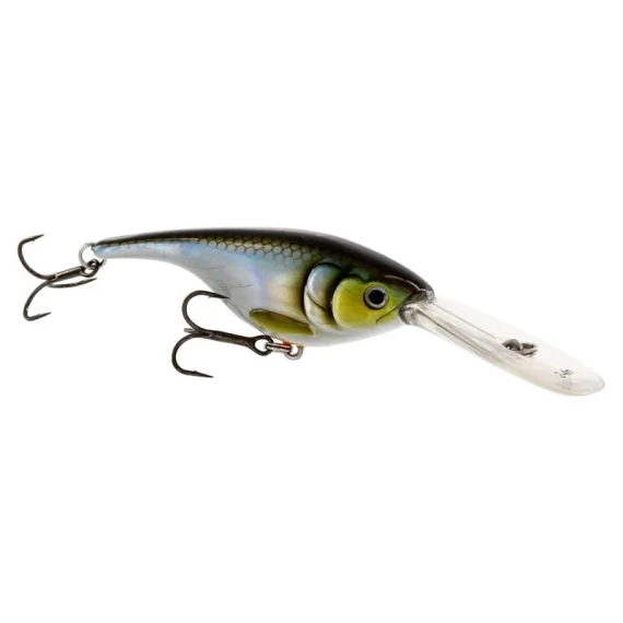fishline202606090244563360886