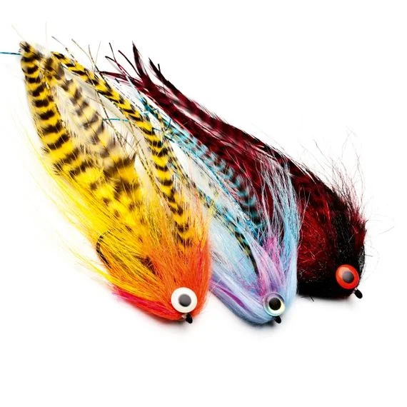 fishline202606090246173360903