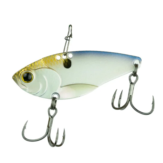 fishline202606090249003360935