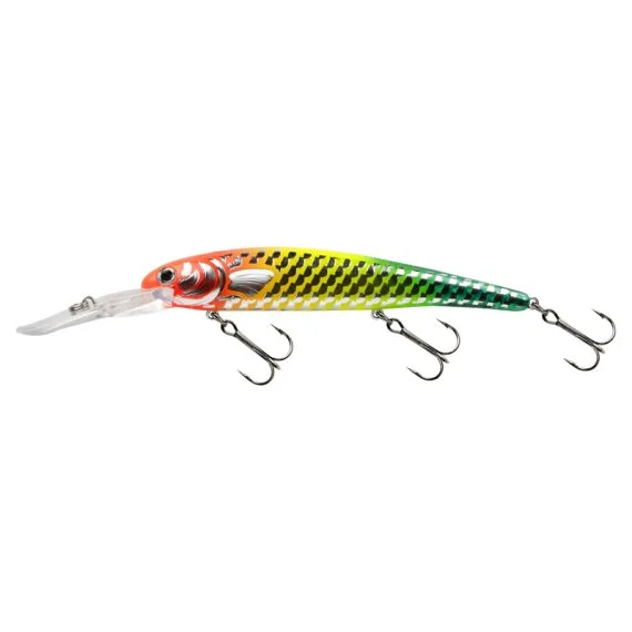 fishline202606090249303360941